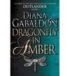 DRAGONFLY IN AMBER