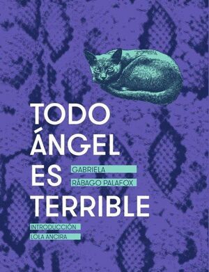 TODO ÁNGEL ES TERRIBLE