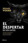 EL DESPERTAR DE LOS GATOS