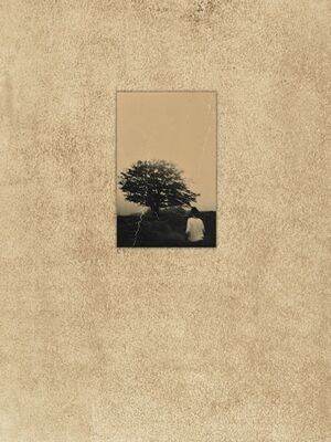 EL VUELO LLEVA AL VUELO