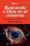 BUSCANDO A DIOS EN EL UNIVERSO