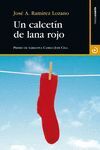 UN CALCETIN DE LANA ROJO