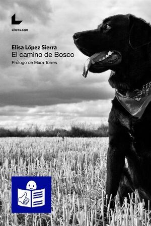 EL CAMINO DE BOSCO