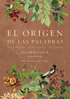 EL ORIGEN DE LAS PALABRAS-NE