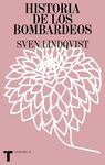 HISTORIA DE LOS BOMBARDEOS
