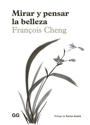 MIRAR Y PENSAR LA BELLEZA