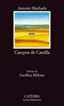 CAMPOS DE CASTILLA