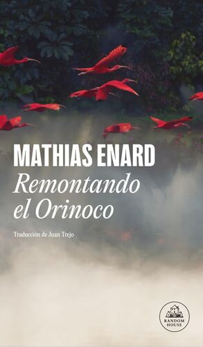 REMONTANDO EL ORINOCO