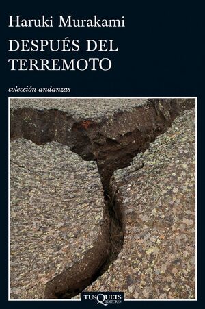 DESPUES DEL TERREMOTO