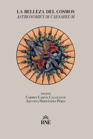 LA BELLEZA DEL COSMOS