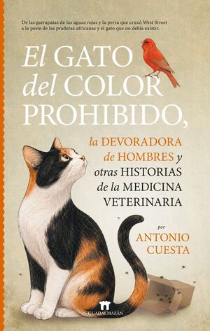 EL GATO DEL COLOR PROHIBIDO